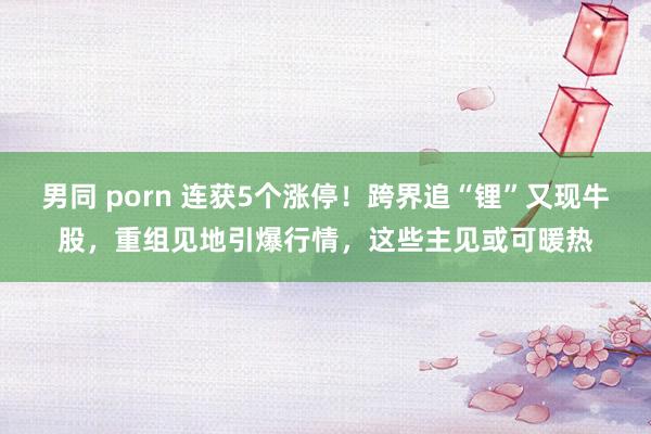 男同 porn 连获5个涨停！跨界追“锂”又现牛股，重组见地引爆行情，这些主见或可暖热