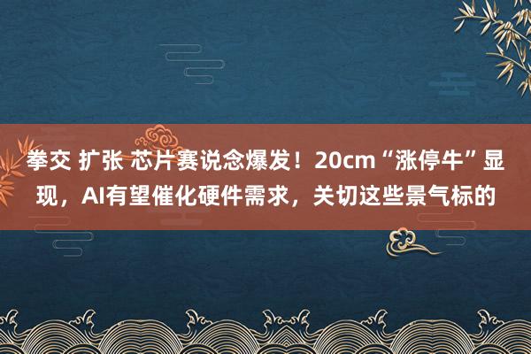 拳交 扩张 芯片赛说念爆发！20cm“涨停牛”显现，AI有望催化硬件需求，关切这些景气标的