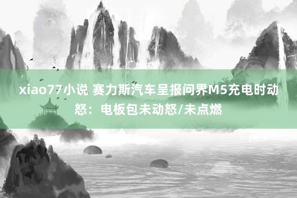 xiao77小说 赛力斯汽车呈报问界M5充电时动怒：电板包未动怒/未点燃