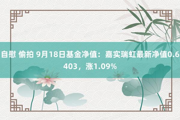 自慰 偷拍 9月18日基金净值：嘉实瑞虹最新净值0.6403，涨1.09%