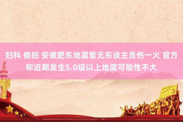 妇科 偷拍 安徽肥东地震暂无东谈主员伤一火 官方称近期发生5.0级以上地震可能性不大