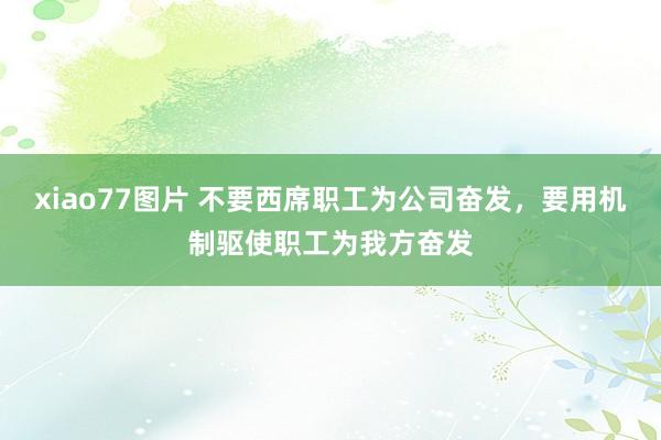 xiao77图片 不要西席职工为公司奋发，要用机制驱使职工为我方奋发