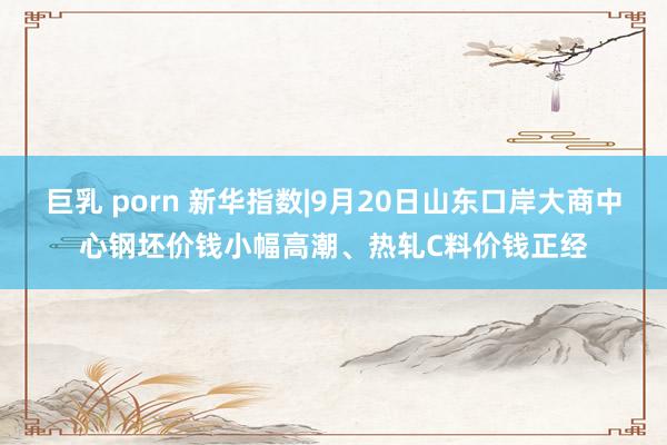 巨乳 porn 新华指数|9月20日山东口岸大商中心钢坯价钱小幅高潮、热轧C料价钱正经