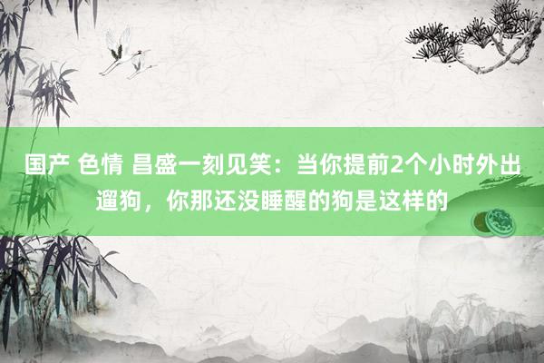 国产 色情 昌盛一刻见笑：当你提前2个小时外出遛狗，你那还没睡醒的狗是这样的