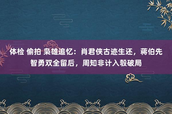 体检 偷拍 枭雄追忆：肖君侠古迹生还，蒋伯先智勇双全留后，周知非计入彀破局