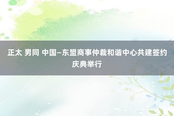 正太 男同 中国—东盟商事仲裁和谐中心共建签约庆典举行