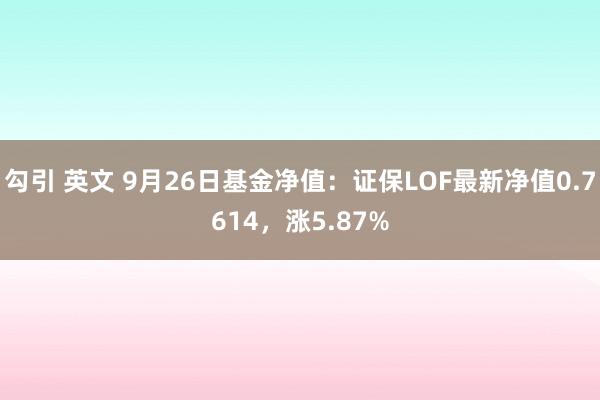 勾引 英文 9月26日基金净值：证保LOF最新净值0.7614，涨5.87%