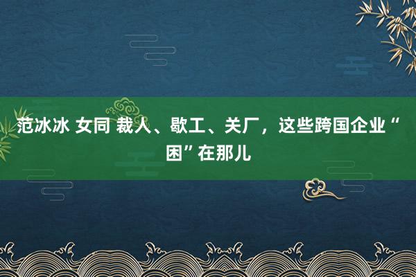 范冰冰 女同 裁人、歇工、关厂，这些跨国企业“困”在那儿