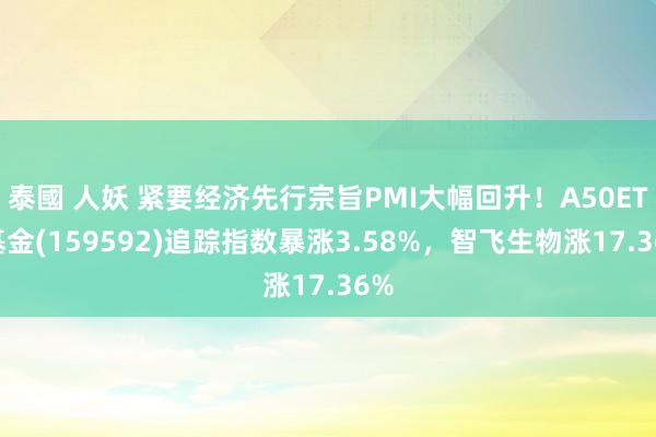 泰國 人妖 紧要经济先行宗旨PMI大幅回升！A50ETF基金(159592)追踪指数暴涨3.58%，智飞生物涨17.36%