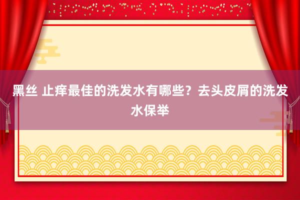 黑丝 止痒最佳的洗发水有哪些？去头皮屑的洗发水保举