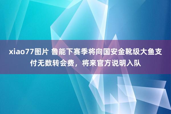 xiao77图片 鲁能下赛季将向国安金靴级大鱼支付无数转会费，将来官方说明入队