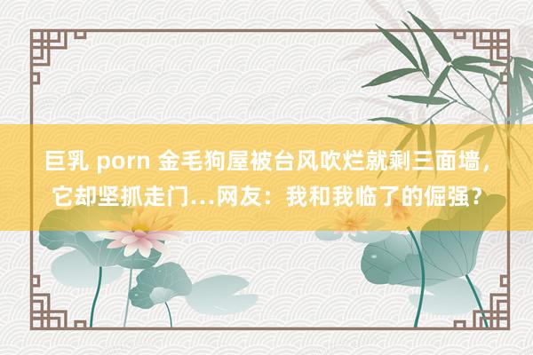 巨乳 porn 金毛狗屋被台风吹烂就剩三面墙，它却坚抓走门…网友：我和我临了的倔强？