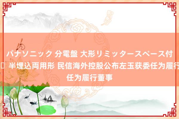 パナソニック 分電盤 大形リミッタースペース付 露出・半埋込両用形 民信海外控股公布左玉获委任为履行董事