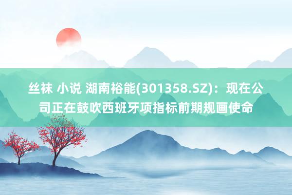 丝袜 小说 湖南裕能(301358.SZ)：现在公司正在鼓吹西班牙项指标前期规画使命