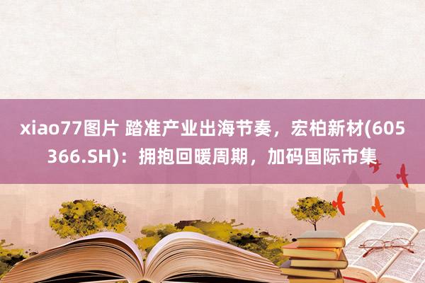 xiao77图片 踏准产业出海节奏，宏柏新材(605366.SH)：拥抱回暖周期，加码国际市集