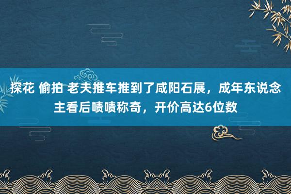 探花 偷拍 老夫推车推到了咸阳石展，成年东说念主看后啧啧称奇，开价高达6位数