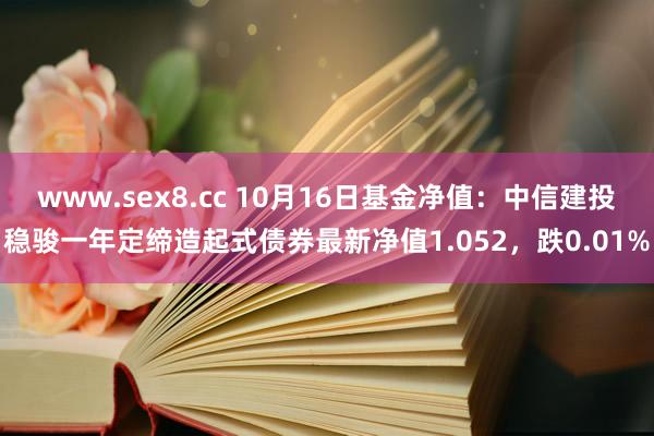 www.sex8.cc 10月16日基金净值：中信建投稳骏一年定缔造起式债券最新净值1.052，跌0.01%