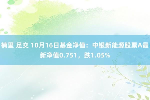 楠里 足交 10月16日基金净值：中银新能源股票A最新净值0.751，跌1.05%