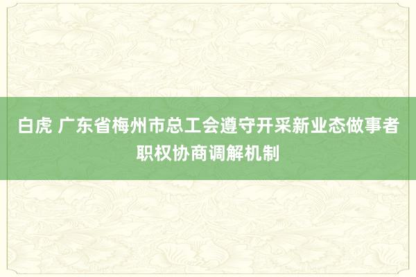 白虎 广东省梅州市总工会遵守开采新业态做事者职权协商调解机制