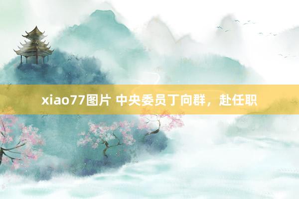 xiao77图片 中央委员丁向群，赴任职