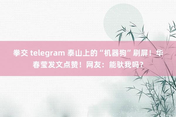 拳交 telegram 泰山上的“机器狗”刷屏！华春莹发文点赞！网友：能驮我吗？