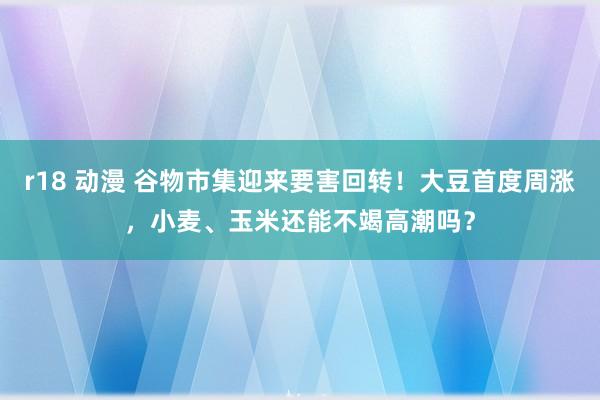 r18 动漫 谷物市集迎来要害回转！大豆首度周涨，小麦、玉米还能不竭高潮吗？