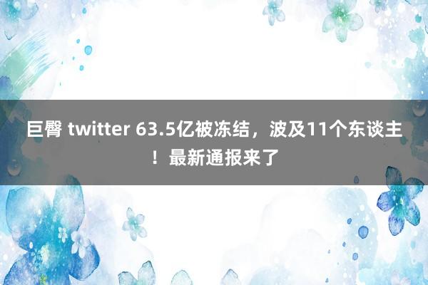 巨臀 twitter 63.5亿被冻结，波及11个东谈主！最新通报来了