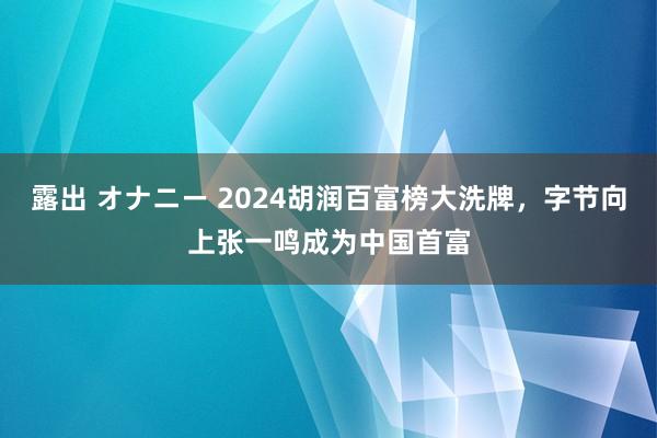 露出 オナニー 2024胡润百富榜大洗牌，字节向上张一鸣成为中国首富