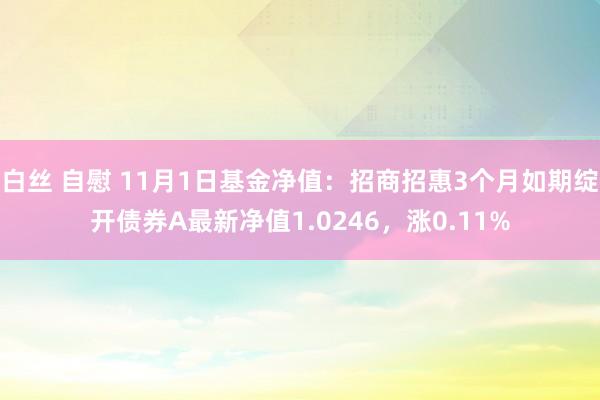 白丝 自慰 11月1日基金净值：招商招惠3个月如期绽开债券A最新净值1.0246，涨0.11%