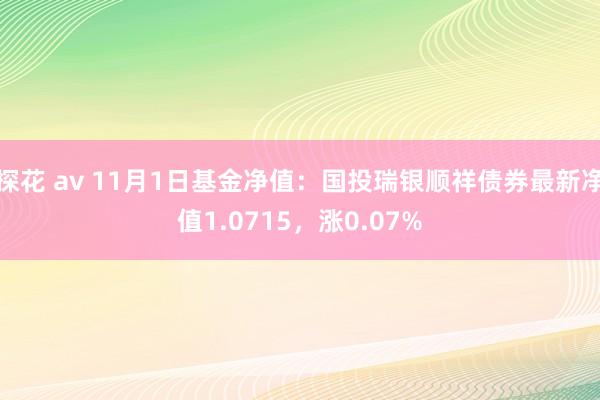 探花 av 11月1日基金净值：国投瑞银顺祥债券最新净值1.0715，涨0.07%