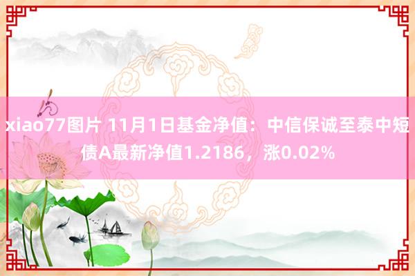 xiao77图片 11月1日基金净值：中信保诚至泰中短债A最新净值1.2186，涨0.02%