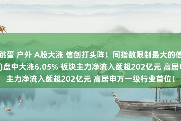 跳蛋 户外 A股大涨 信创打头阵！同指数限制最大的信创50ETF(560850)盘中大涨6.05% 板块主力净流入额超202亿元 高居申万一级行业首位！