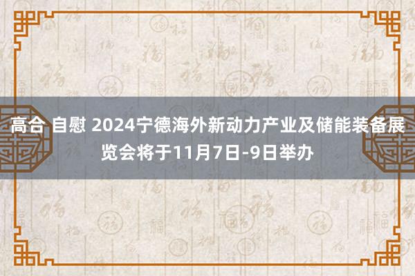 高合 自慰 2024宁德海外新动力产业及储能装备展览会将于11月7日-9日举办