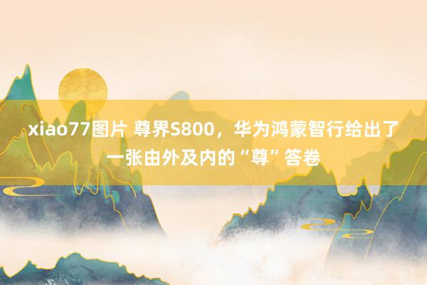 xiao77图片 尊界S800，华为鸿蒙智行给出了一张由外及内的“尊”答卷