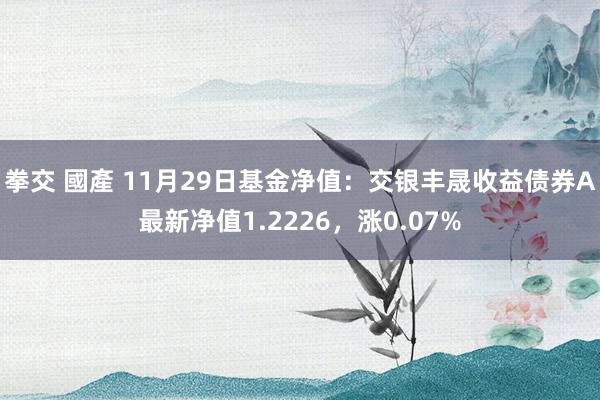 拳交 國產 11月29日基金净值：交银丰晟收益债券A最新净值1.2226，涨0.07%