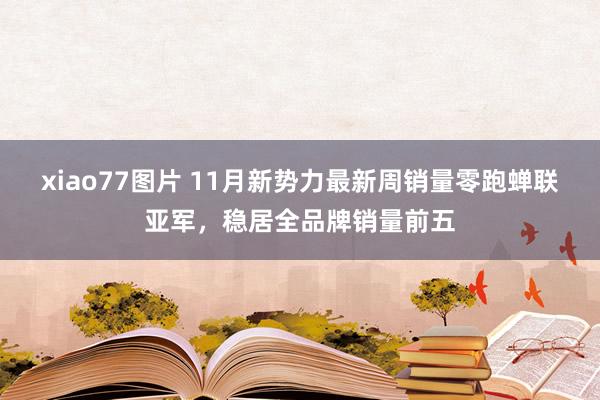 xiao77图片 11月新势力最新周销量零跑蝉联亚军，稳居全品牌销量前五