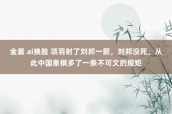 金晨 ai换脸 项羽射了刘邦一箭，刘邦没死，从此中国象棋多了一条不可文的规矩