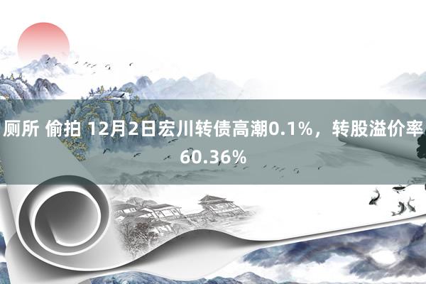 厕所 偷拍 12月2日宏川转债高潮0.1%，转股溢价率60.36%