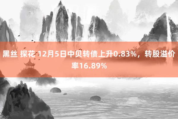 黑丝 探花 12月5日中贝转债上升0.83%，转股溢价率16.89%