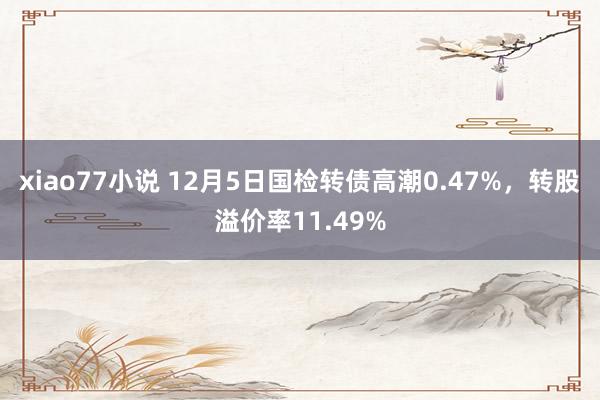 xiao77小说 12月5日国检转债高潮0.47%，转股溢价率11.49%