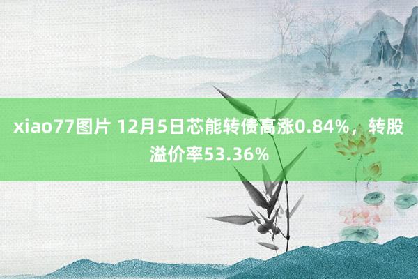 xiao77图片 12月5日芯能转债高涨0.84%，转股溢价率53.36%