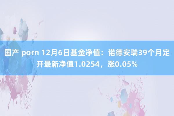 国产 porn 12月6日基金净值：诺德安瑞39个月定开最新净值1.0254，涨0.05%