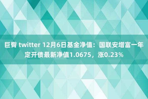 巨臀 twitter 12月6日基金净值：国联安增富一年定开债最新净值1.0675，涨0.23%