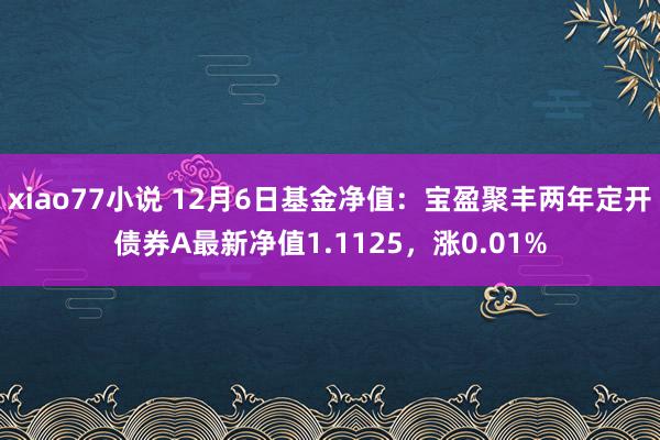 xiao77小说 12月6日基金净值：宝盈聚丰两年定开债券A最新净值1.1125，涨0.01%