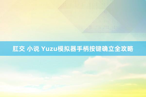 肛交 小说 Yuzu模拟器手柄按键确立全攻略