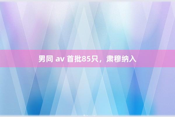 男同 av 首批85只，肃穆纳入