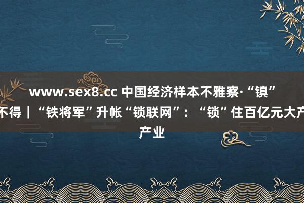 www.sex8.cc 中国经济样本不雅察·“镇”了不得｜“铁将军”升帐“锁联网”：“锁”住百亿元大产业