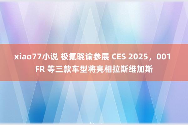 xiao77小说 极氪晓谕参展 CES 2025，001 FR 等三款车型将亮相拉斯维加斯