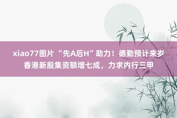 xiao77图片 “先A后H”助力！德勤预计来岁香港新股集资额增七成，力求内行三甲