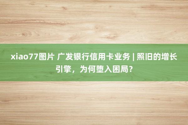 xiao77图片 广发银行信用卡业务 | 照旧的增长引擎，为何堕入困局？